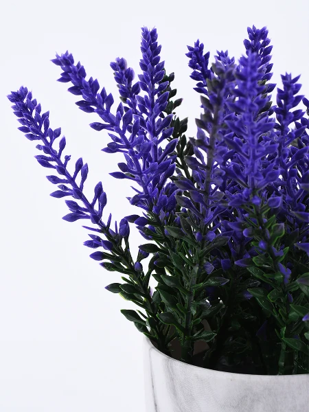 LAVANDA CON MACETA VERDE