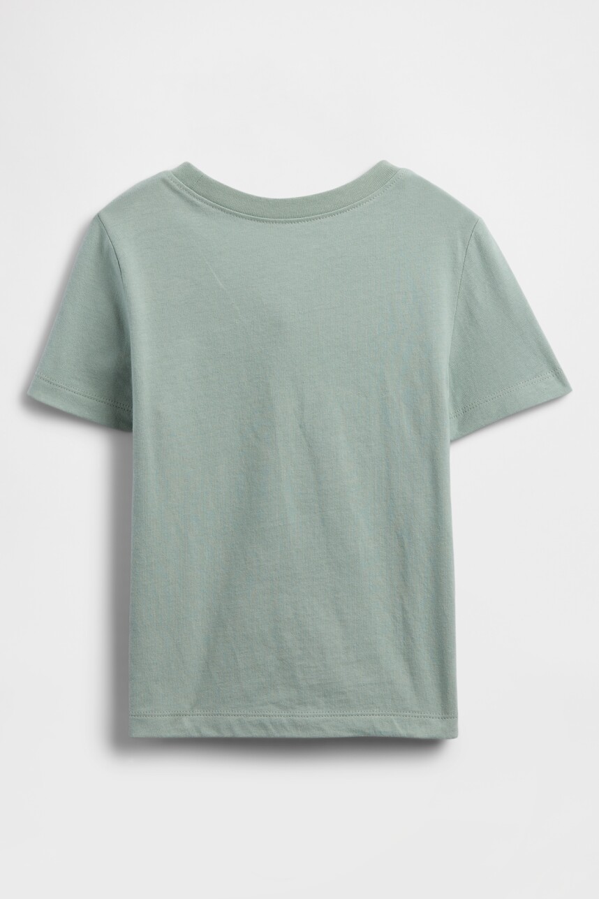 Remera Gràfico Toddler Niño Iceberg Green 16-5808