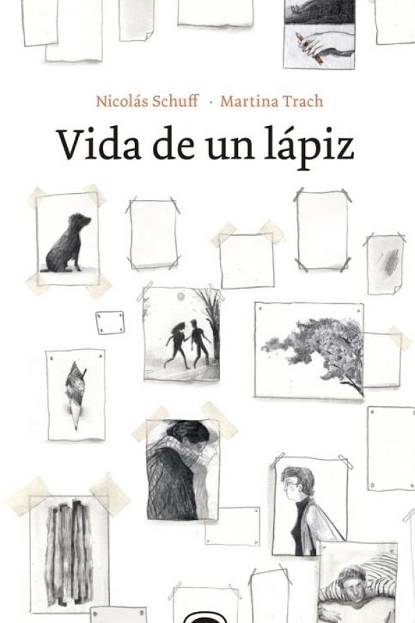 Vida De Un Lápiz Vida De Un Lápiz