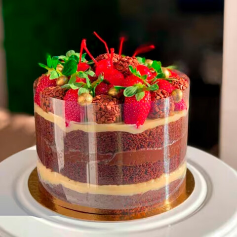 Tira PET 15 cm x2m Tira PET 15 cm x2m