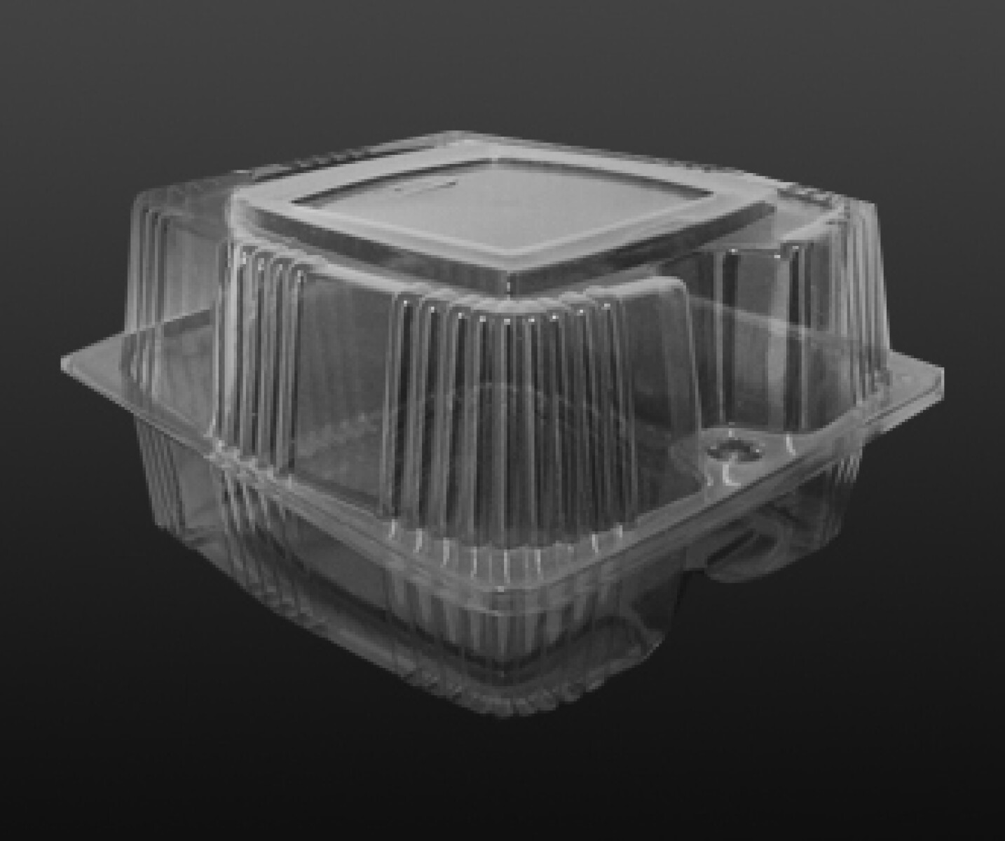 BLISTER CRISTAL 17X16.9X9 CM. 