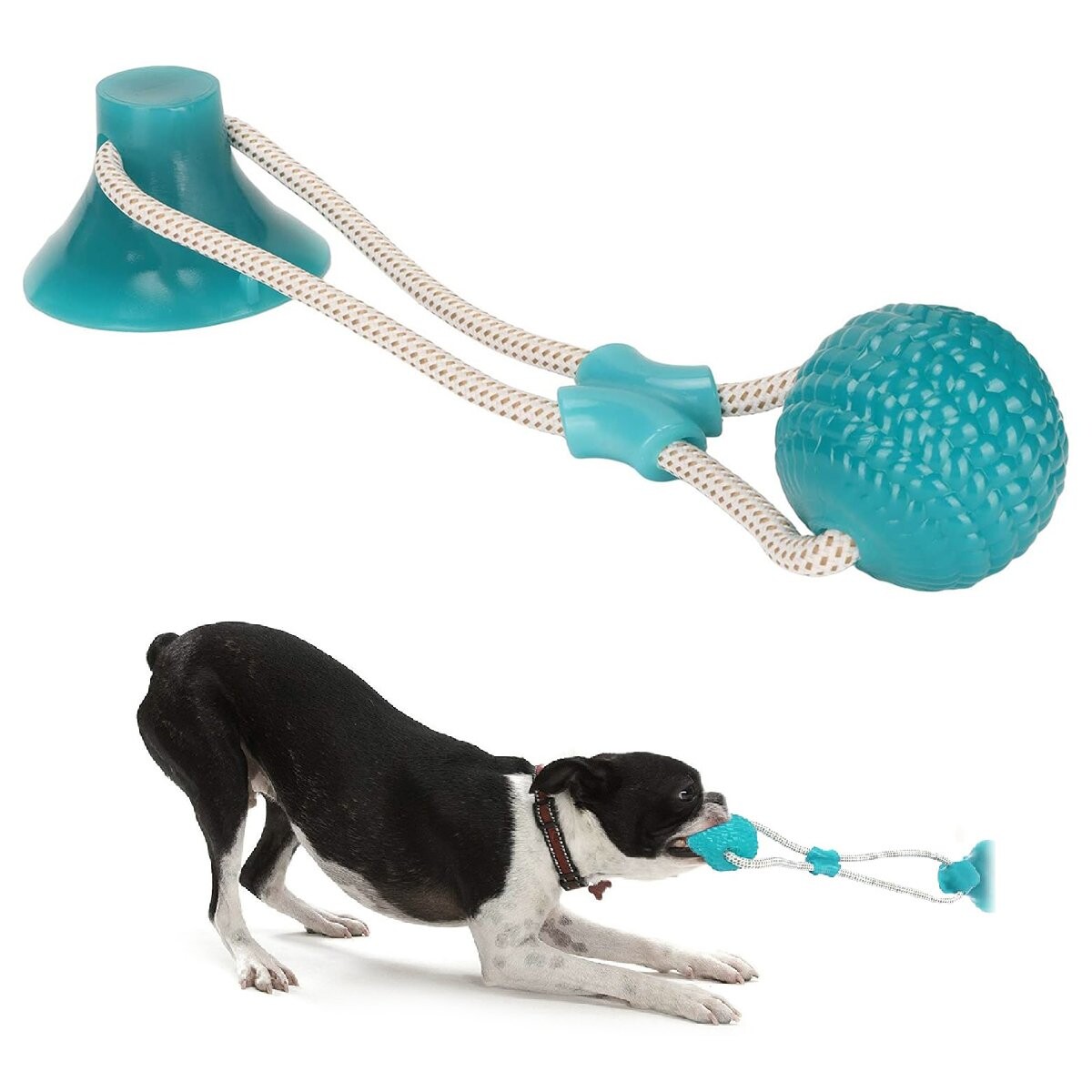 Juguete Perro Limpia Dientes Ventosa Con Cuerda Pelota Color Variante Celeste Atrix