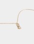 Cadena Corta con Dije Packaging especial Collar De Gato Con Strass - Dorado