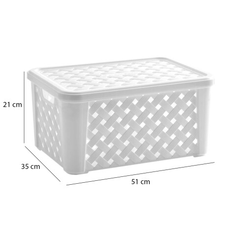 Caja Canasto Organizador Rattan c/ Tapa Paramount 51x35x21Cm Blanco