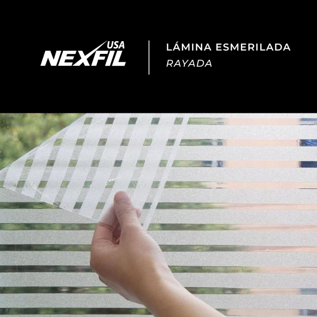 Lamina Esmerilada Rayada - Nexfil 