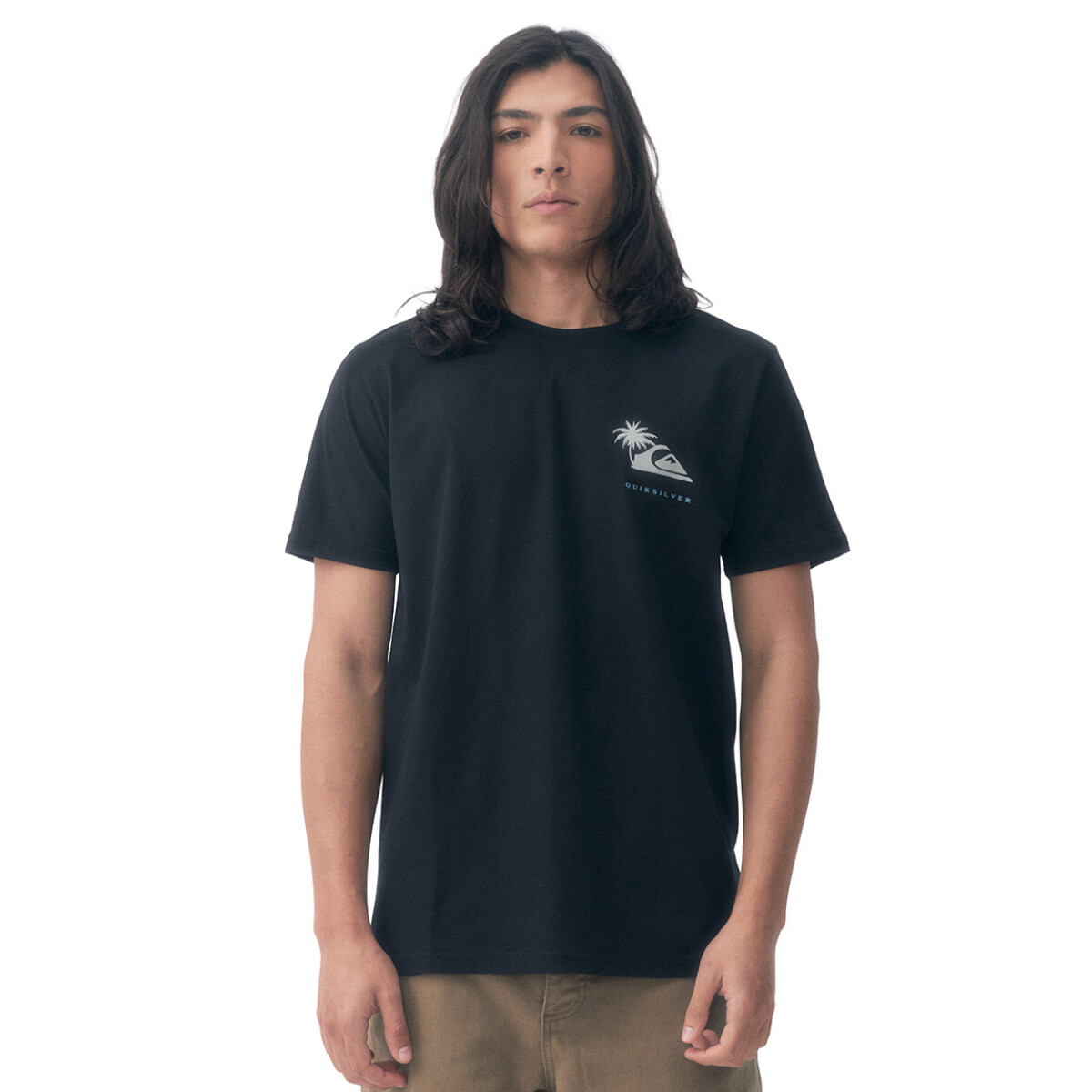 Remera Hombre Quiksilver Palm Island - Negro 