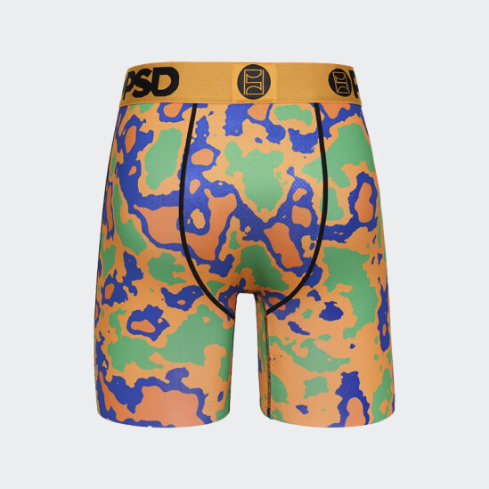 Calzoncillos PSD WF Earf Multicolor