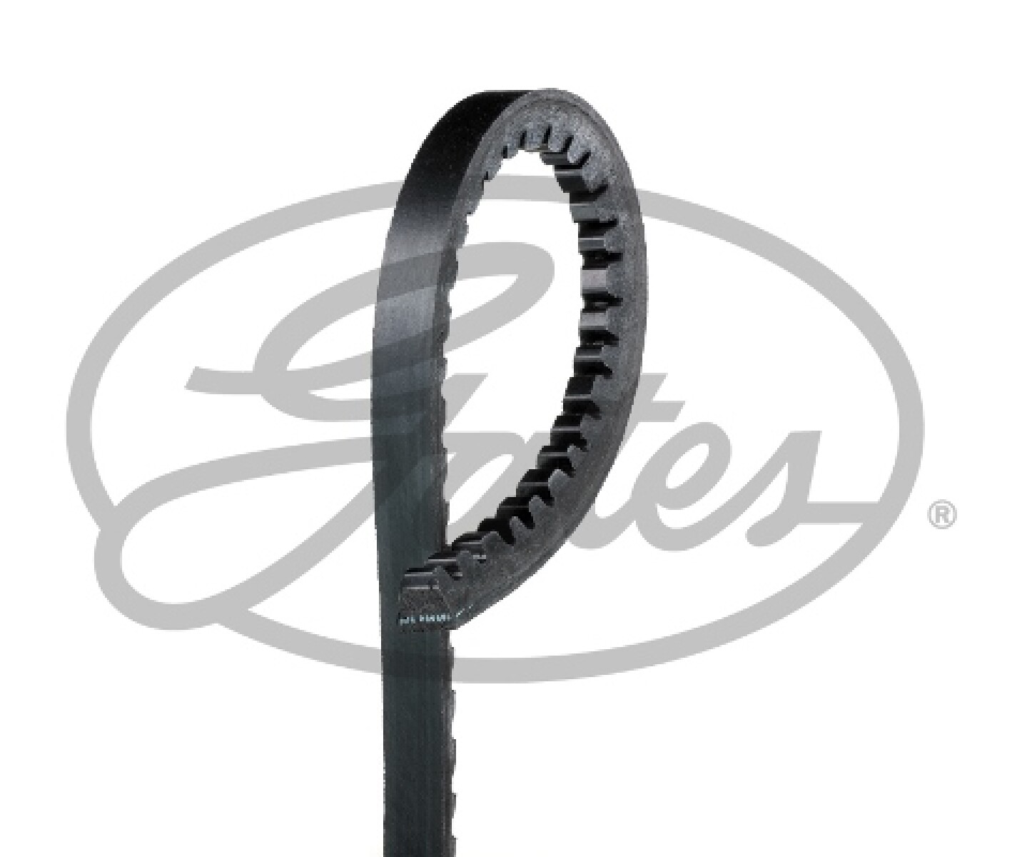 CORREA ALTERNADOR - A.40 VENTILADA GATES 
