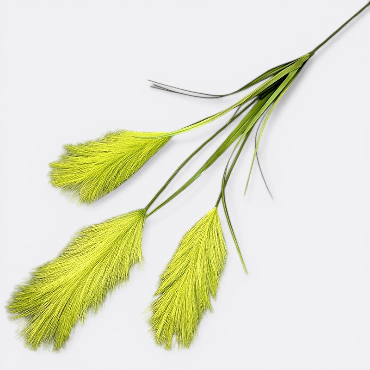 Rama Tres Plumerillos Estepa - Verde Lima 