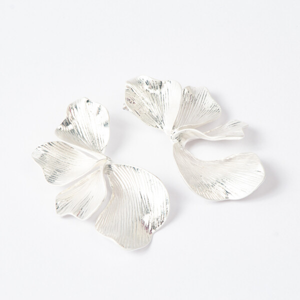 CARAVANAS EVREN PLATEADAS CARAVANAS EVREN PLATEADAS