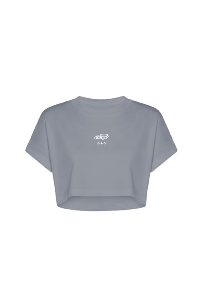 Remera Pulau Why - Gris 