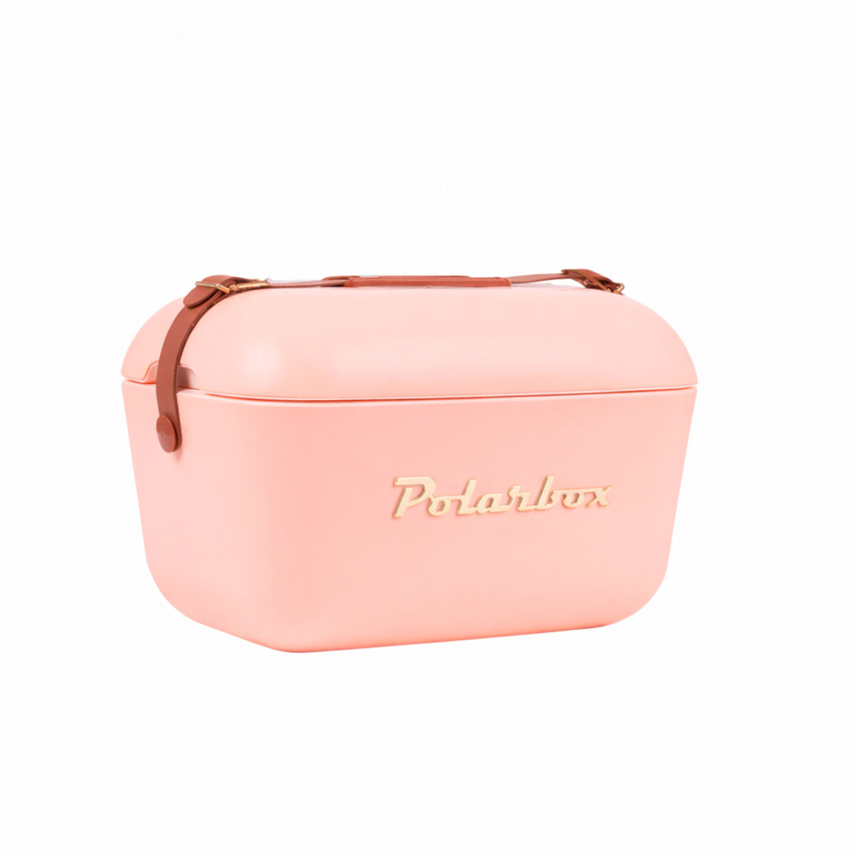 Conservadora Hielera Vintage 20L Litros Latas Hielo Polarbox - Color Salmón 