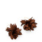Caravana Petal Marron Medio