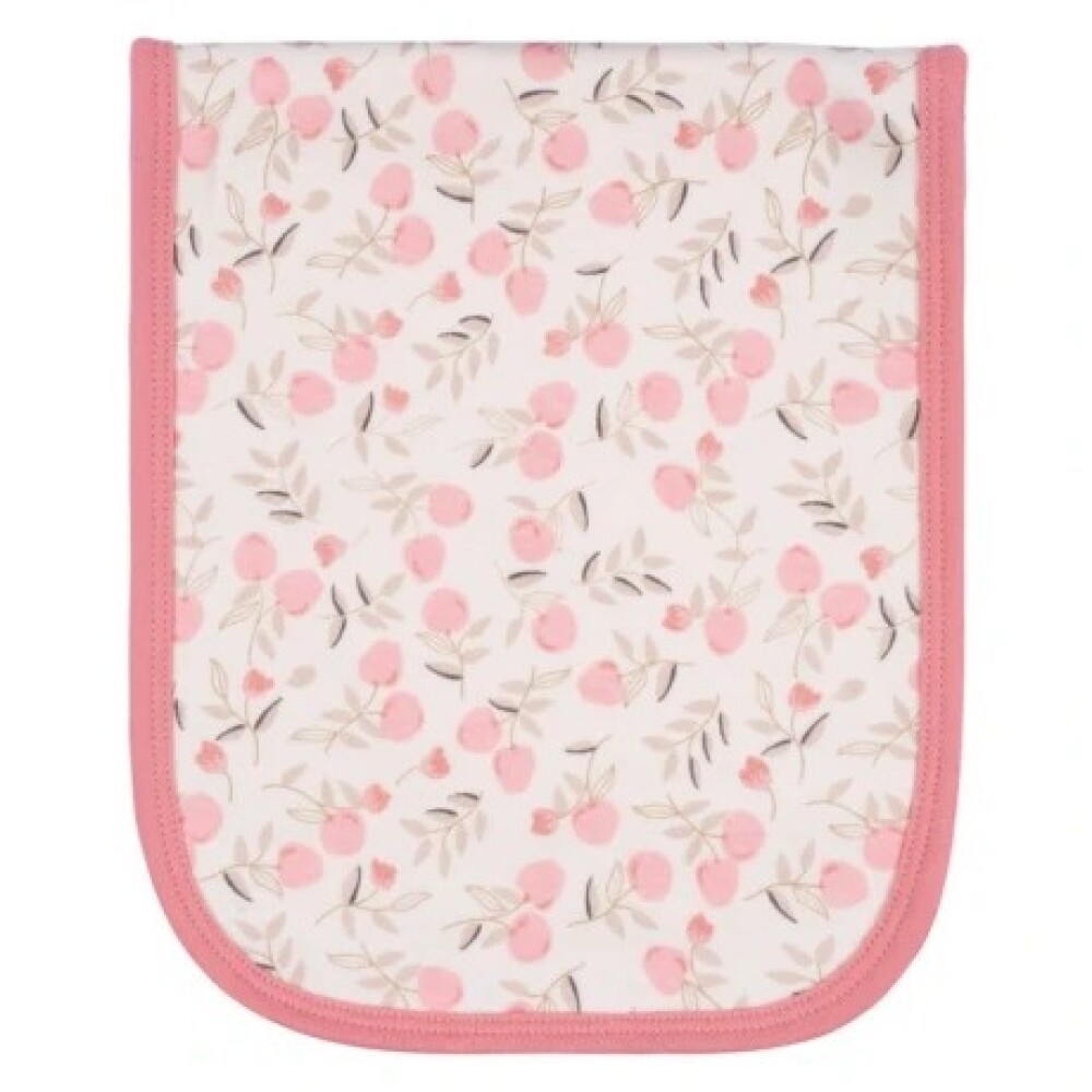 Set x4 babitas provecheros GERBER apples rosa