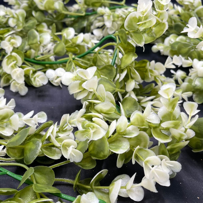 Guia de Hojas de Eucalipto Guia de Hojas de Eucalipto