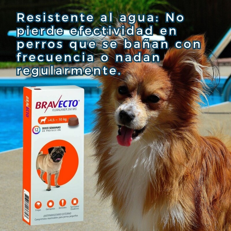 BRAVECTO ANTIPULGAS Y ANTIGARRAPATAS 4.5 A 10 KG