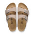 Arizona BFBC Gray Taupe Gray Taupe