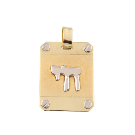 Medalla rectangular con Jai de oro 18k Nro 9 Medalla rectangular con Jai de oro 18k Nro 9