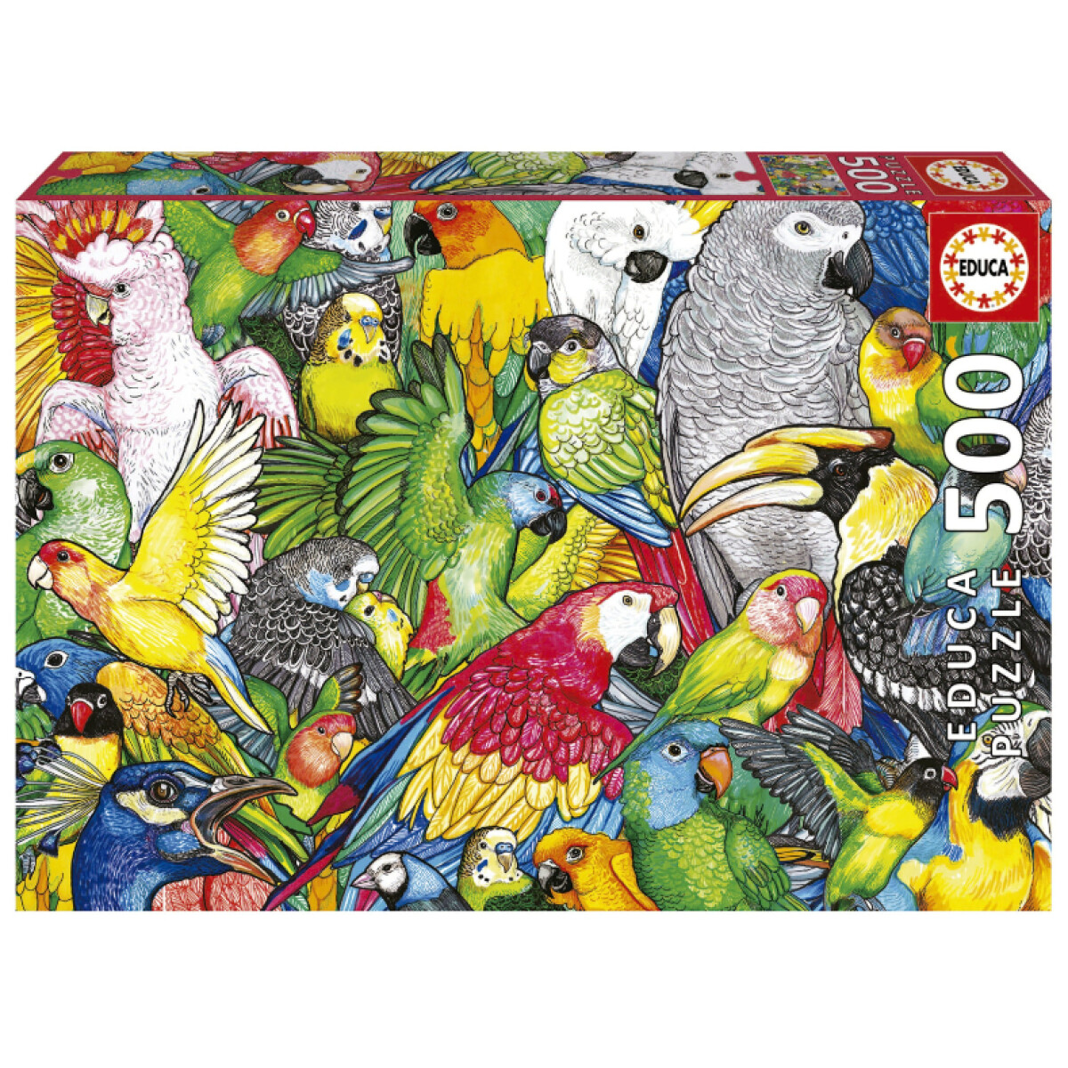 Rompecabeza Puzzle Educa 500 Piezas Loros Aves Collage 