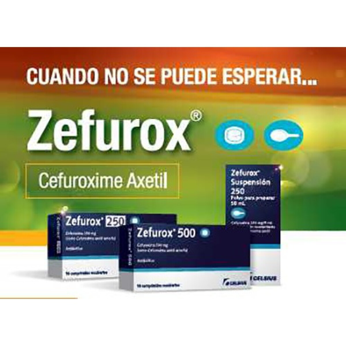 Zefurox (Cefuroxime) 500 mg x 10 comprimidos 