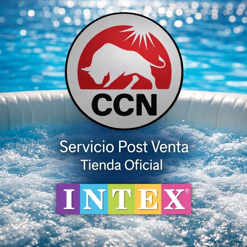 INTEX REPUESTO MOTOR SISTEMA JETS PURESPA DELUXE 28456 Intex Repuesto Motor Sistema Jets Purespa Deluxe 28456