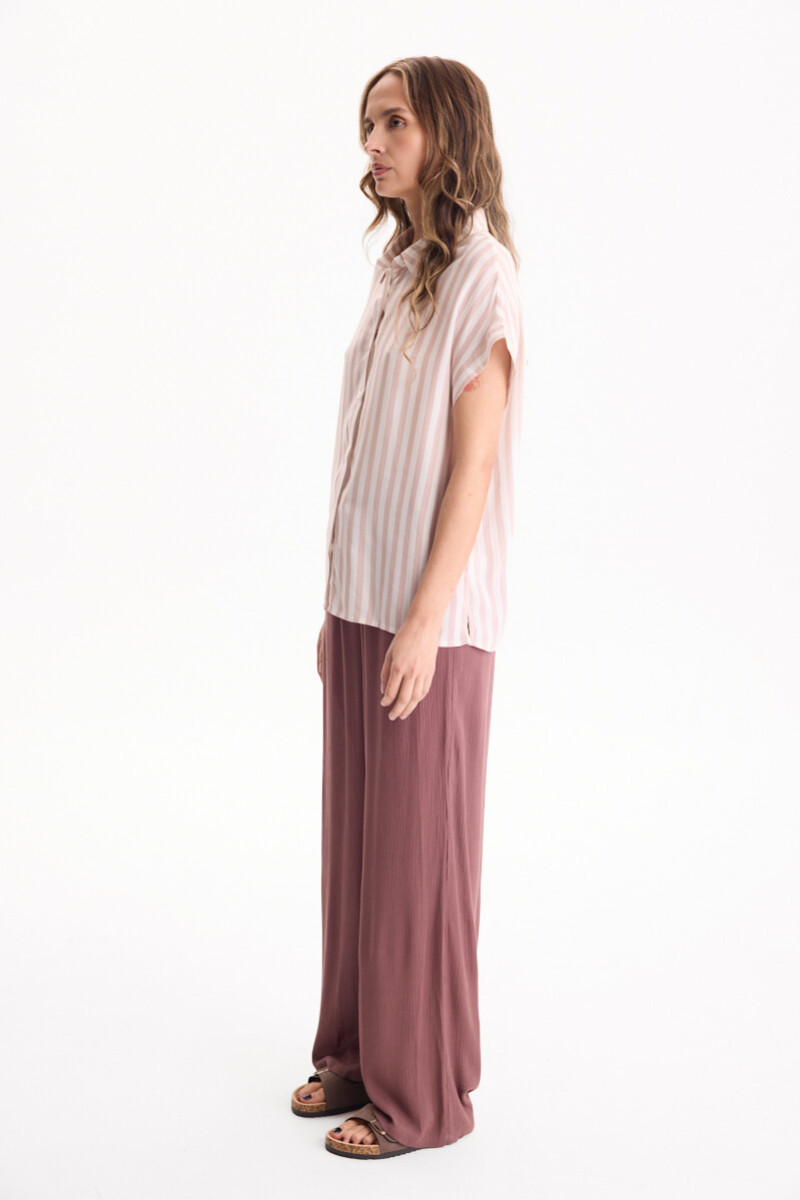Camisa Hampton Beige