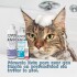 KIT ANI+ SHAMPOO ACONDICIONADOR Y COLONIA PARA PERROS Y GATOS KIT ANI+ SHAMPOO ACONDICIONADOR Y COLONIA PARA PERROS Y GATOS