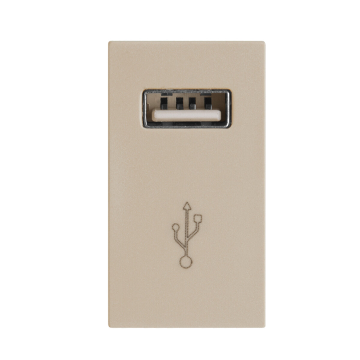 Módulo cargador USB 230V salida: 1A 5Vdc - Ave - C55902 