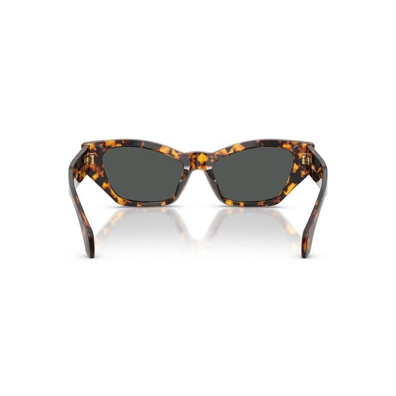 Versace Ve4488u 5514/87