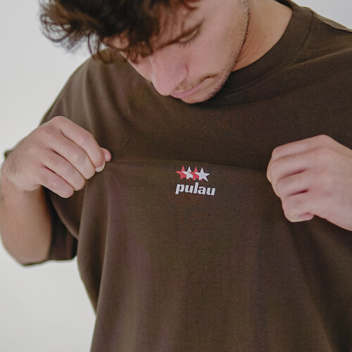 Remera Pulau Tau Marrón