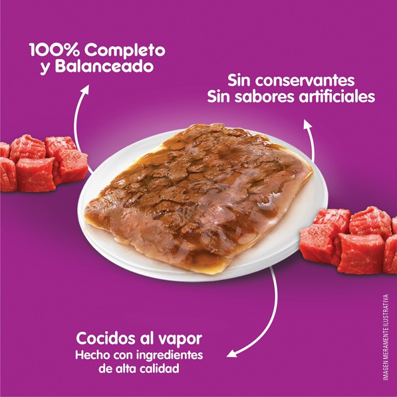 WHISKAS EN SALSA SOUFFLE CARNE ALIMENTO HUMEDO 85 GRS