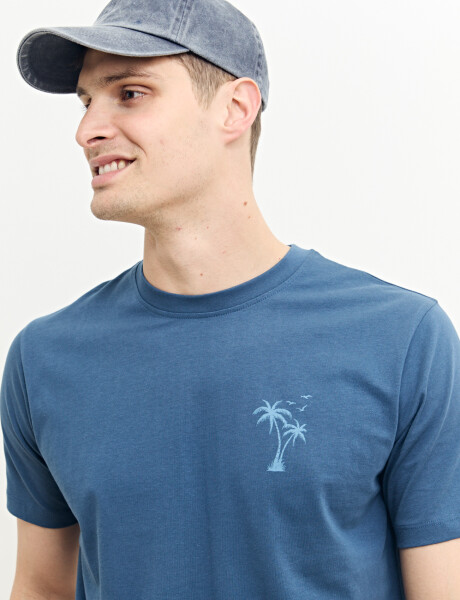 520312 T-SHIRT HARRY Azul Piedra