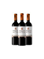 Pack Bacán Selección Salón del vino x3 vinos Marques de Casa Concha Pack Bacán Selección Salón del vino x3 vinos Marques de Casa Concha