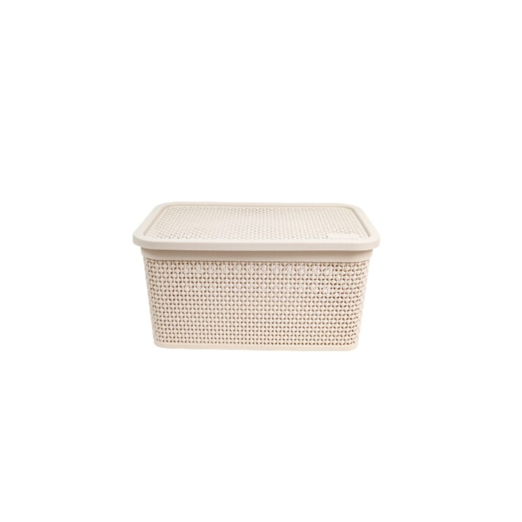 CAJA ORGANIZADORA SIMIL RATTAN 2.5LTS Sin color