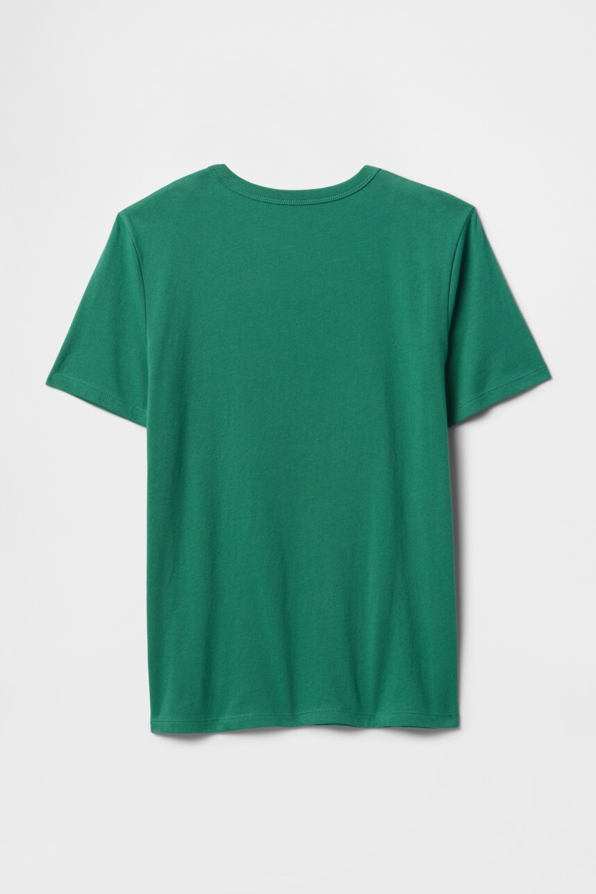 Remera Gráfico Niño Irish Clover