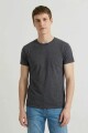 Remera cuello redondo ICONIC 150 Gris melange oscuro