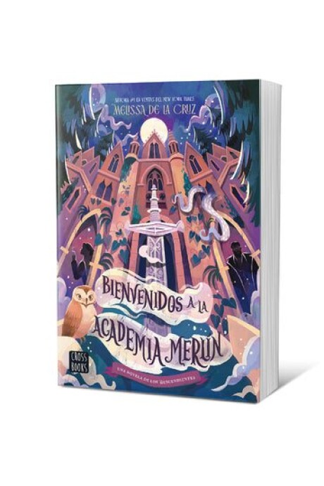 BIENVENIDOS A LA ACADEMIA MERLIN BIENVENIDOS A LA ACADEMIA MERLIN