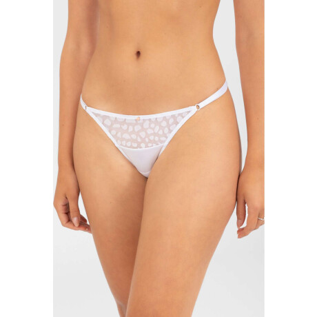Colaless tiritas mystic Blanco