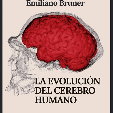 EVOLUCION DEL CEREBRO HUMANO, LA EVOLUCION DEL CEREBRO HUMANO, LA