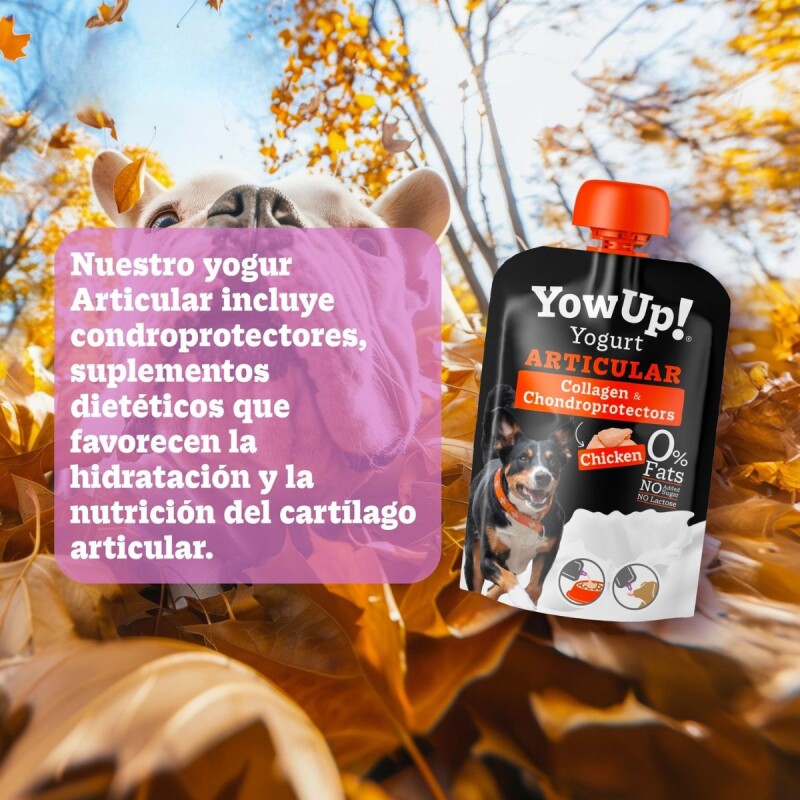 YOWUP YOGURT PARA PERROS 115 GRAMOS ARTICULAR SABOR POLLO