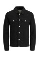 Chaqueta Alvin Black