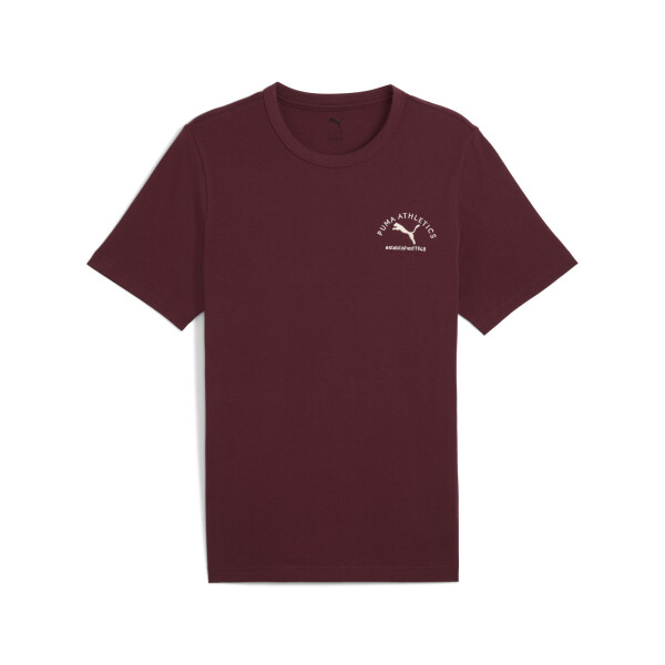 Remera Puma Graphic Tee de Hombre - 688219 96 Bordo