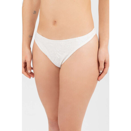 Vedetina basica tex Crudo