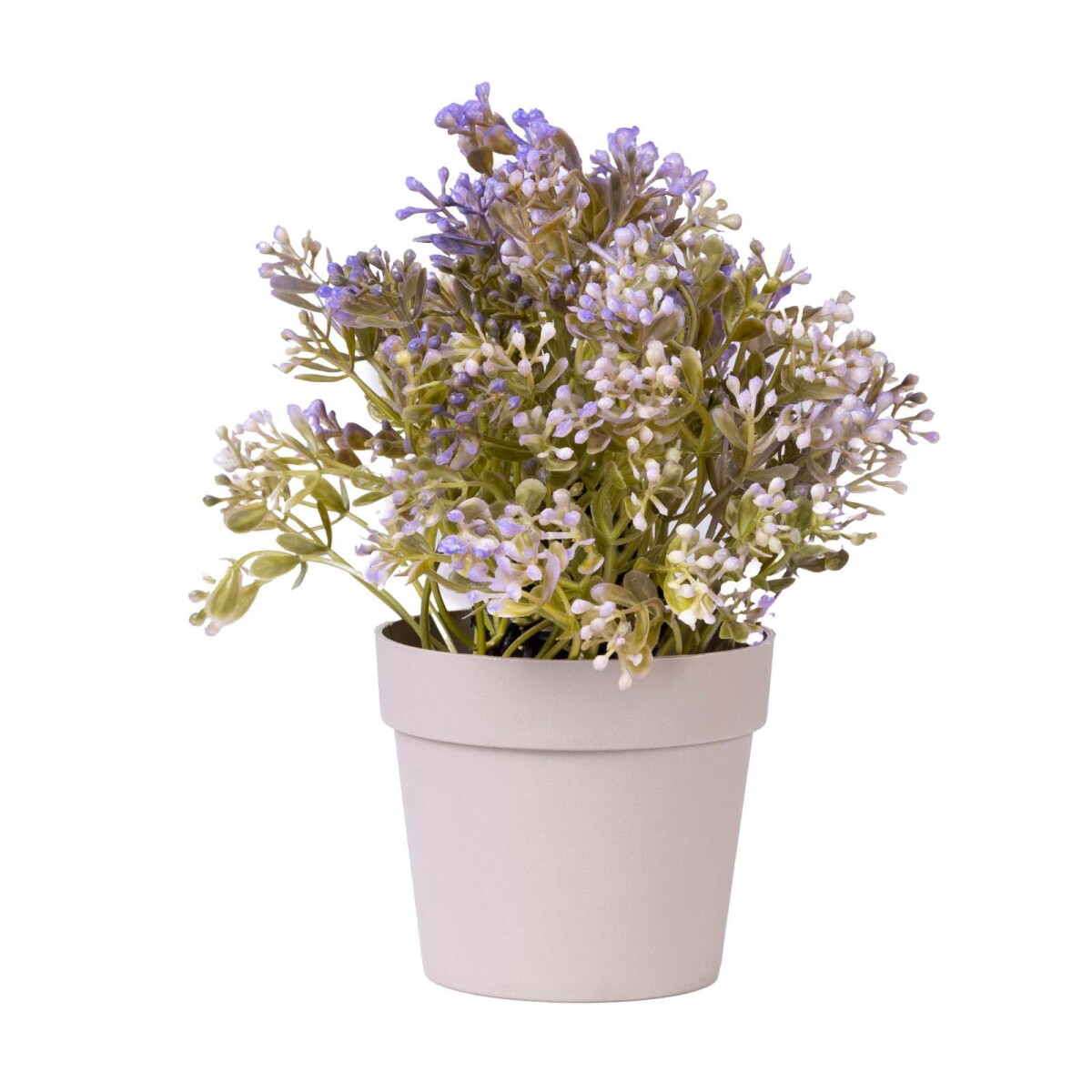 PLANTA GYPSOPHILA - PLANTA-ARTIFICIAL VIOLETA 05523029 