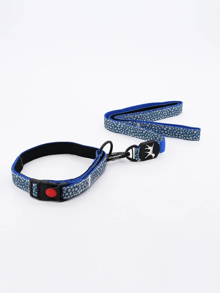 SET COLLAR CON CORREA MULTICOLOR
