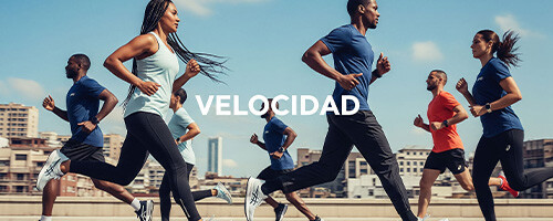 Velocidad