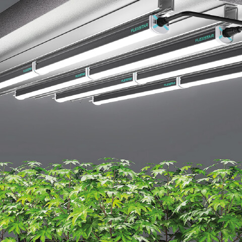 TUBO LED UNDER CANOPY FLEXSTAR 120W R5W