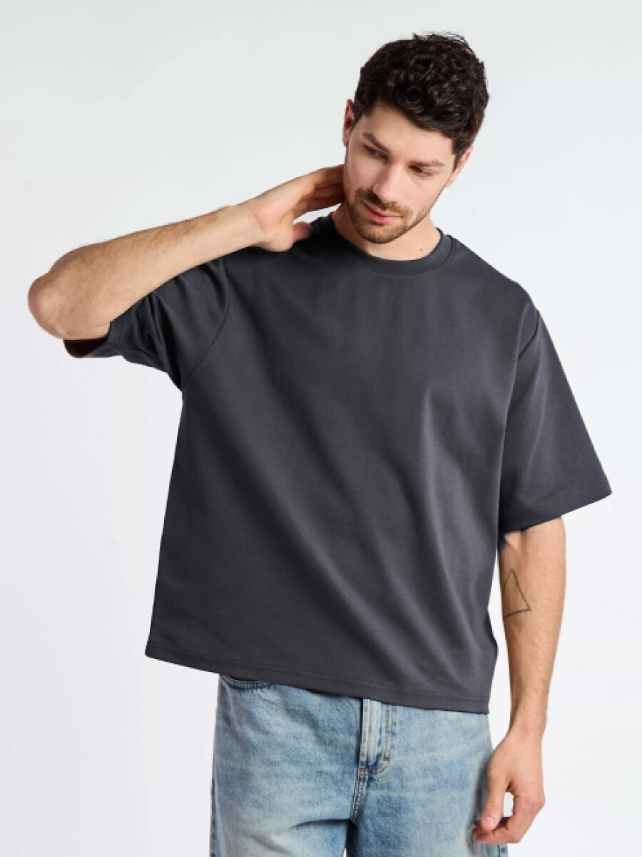 Camiseta Briatore - Gris 