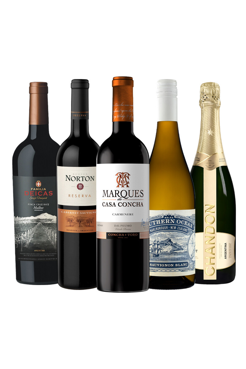 Pack Bacán Selección Bacanazo Fin de Año x4 vinos premium más un espumante 