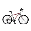 Bicicleta Baccio Alpina Man Montaña rodado 24 con 21 cambios Gris